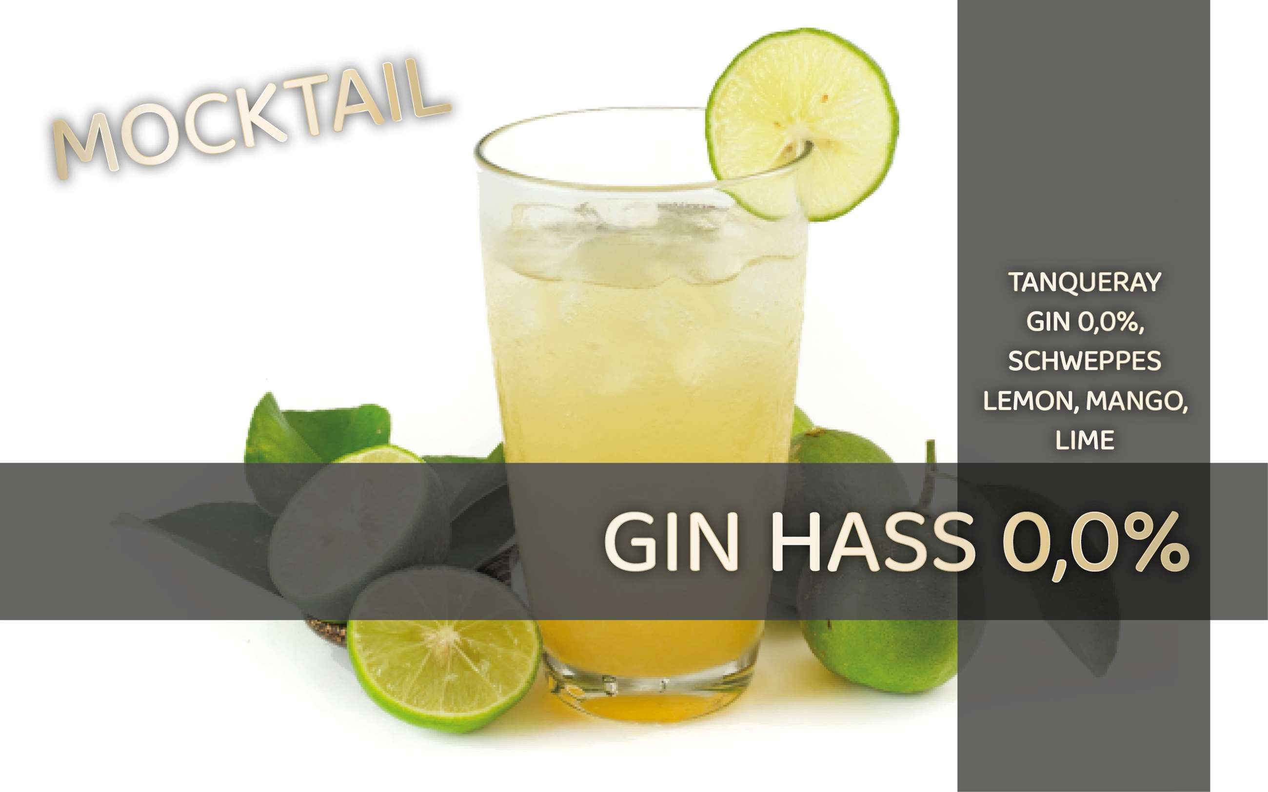 gin hass 00 hjemmeside